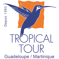 Logo Tropical Tours