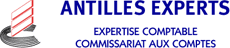 ANTILLES EXPERTS