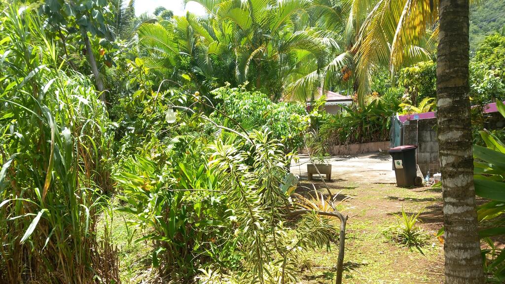 Location Riviere Pilote Location Maison / Villa Rivière Pi