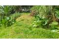 SAINTE-MARIE TERRAIN 1600 m² DONT 400m² CONSTRUTIBLES