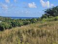 EXCEPTIONNEL TERRAIN CONSTRUCTIBLE DE 615 M² AVEC VUE MER ! 