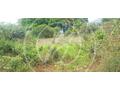 À vendre : Terrain plat de 1 100 m² à Saint-François, 185 00