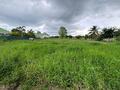 Terrain plat d'environ 730 m2 - LES ABYMES