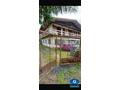 LOCAL PRO - Saint Laurent du Maroni - 240 m²