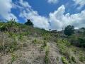Vente Terrain 9928 m2 à Koungou
