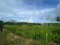 SECTEUR RECHERCHE - PETIT-BOURG-Grande Savane-VILLARCHIPEL