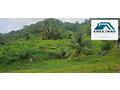 Terrain de 2 300m² au Lamentin