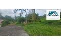 Terrain de 2 300m² au Lamentin