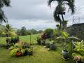 TROIS ILETS LE WALON APPARTEMENT T2 VUE MER+JARDIN