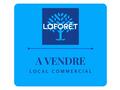 Local professionel à Saint Francois