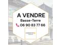IMMEUBLE PROFESSIONNEL BASSE-TERRE CENTRE