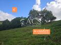 Terrain à bâtir de 1353 m2 dont 751 m2 constructibles - LE R