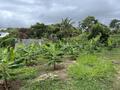 EN EXCLUSIVITÉ -- Terrain constructible 2385 m²  Changy, Cap