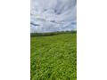 Immobilier de luxe : terrain à acheter 625000 EUR à Saint-An