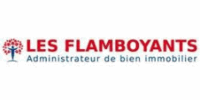Logo AGENCE LES FLAMBOYANTS