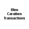 Logo Bleu Caraibes Transactions
