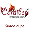 Logo Caraibes Immobilier